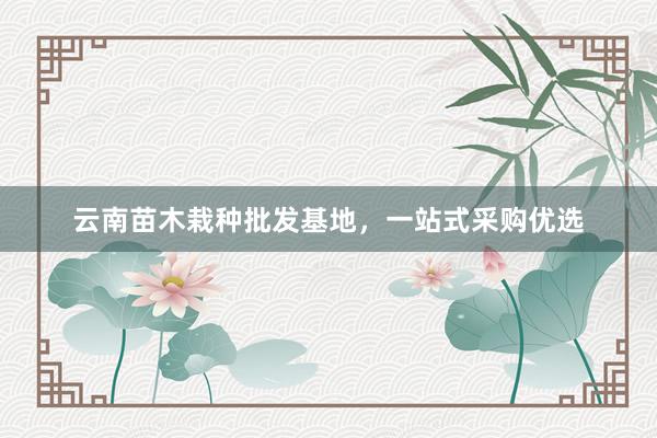 云南苗木栽种批发基地，一站式采购优选