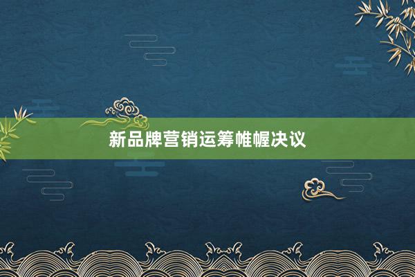 新品牌营销运筹帷幄决议